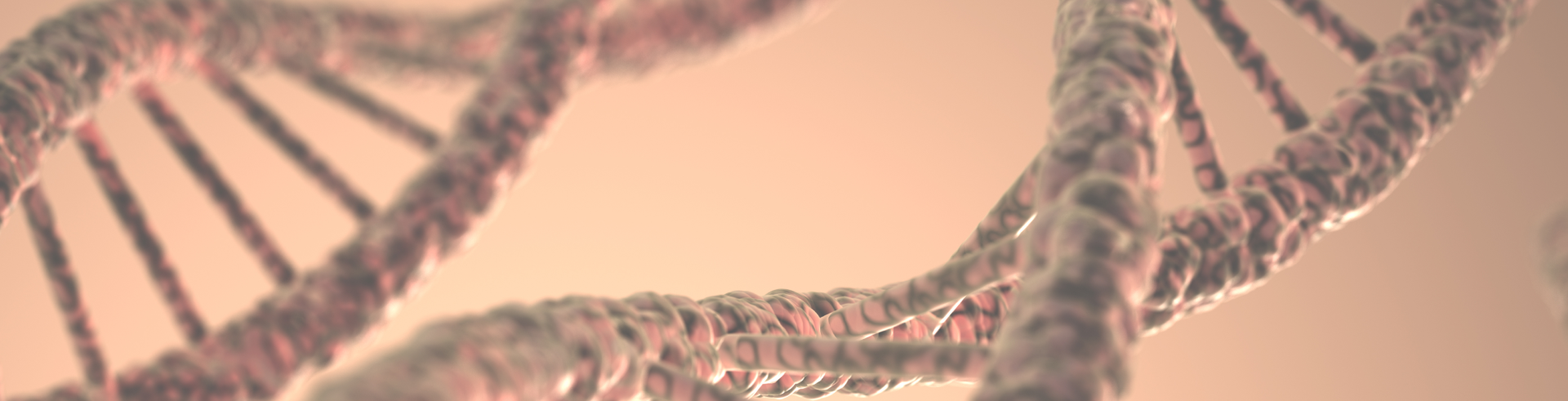 dna structure 2023 11 27 04 52 24 utc 1
